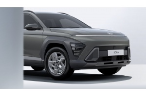 Hyundai Kona Family 